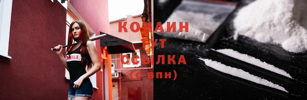 молекула духа Арсеньев
