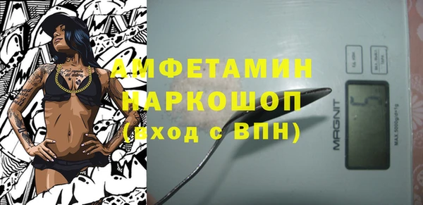 молекула духа Арсеньев