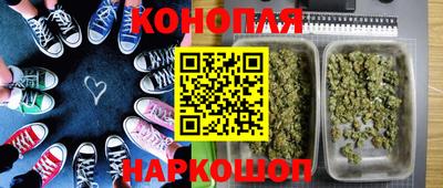 мяу мяу мука Ачхой-Мартан