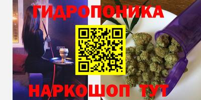 гидропоника Аша