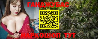 мяу мяу мука Ачхой-Мартан
