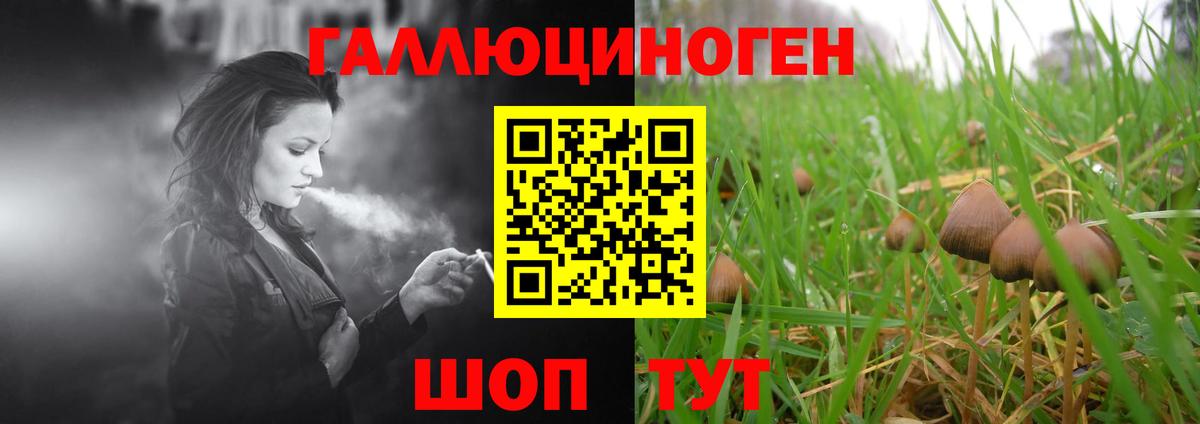 Кореновск  Псилоцибиновые грибы MAGIC MUSHROOMS  Псилоцибиновые грибы Cubensis  Вход с VPN 