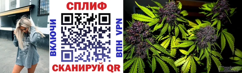 мориарти как зайти  Кореновск  Бошки Шишки OG Kush 