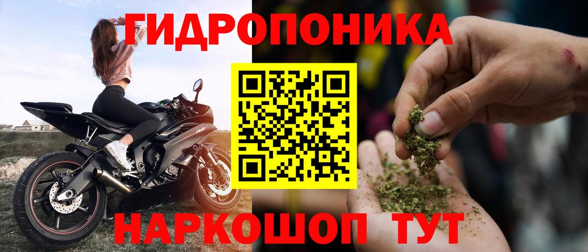 Бошки марихуана SATIVA & INDICA  Канабис Amnesia  Шишки марихуана план  Вход с VPN  Шишки марихуана тримм  Кореновск 